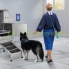Dog cosmetic tub 1270 mm stainless steel adjustable height pet bathing dog washing station 150 kg