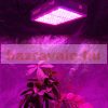 Növénylámpa Üvegház világítás növénynevelő LED fény 1000W extra UV és IR leddel