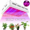 Növénylámpa Üvegház világítás növénynevelő LED fény 1000W extra UV és IR leddel