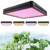 3000W Greenhouse lighting foil tent plant growing LED light with high performance, full spectrum