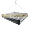 3000W Greenhouse lighting foil tent plant growing LED light with high performance, full spectrum
