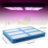 Növénylámpa Üvegház világítás növénynevelő LED fény 3000W extra UV és IR leddel