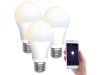 3 pieces of smart lighting Smart Luminea Home Control WLAN 9W E27 white color temperature changeable lamp White Ambiance cold - warm color