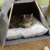 Cat house pet 58x58x80 cm tent with pillow machine washable gray 