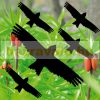 Set of 5 bird deterrent stickers