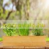 Raised wooden planter box 15x60x60 cm plant bed divided into 9 parts