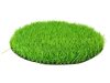 Spring artificial grass with 30 mm realistic fibers 4x25 meter roll brilliant elegance tender effect easy laying and installation high quality product 