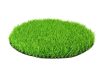 Economic spring artificial grass with 20 mm fibers 2x25 meter roll brilliant light green shade tender effect easy laying and installation