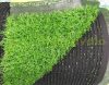 Economic spring artificial grass with 20 mm fibers 2x25 meter roll brilliant light green shade tender effect easy laying and installation