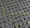 Economic spring artificial grass with 20 mm fibers 2x25 meter roll brilliant light green shade tender effect easy laying and installation