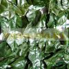 Balcony cover, fence cover anti-sight dark green artificial hedge 300x150 cm railing cover net with lifelike woven leaves