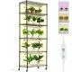 Növényállvány 6 szintes növénynevelő polc növénylámpával 150W 75x35x180 cm növénylámpa polc