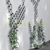 Plant runner design wall plant runner grid honeycomb 30x50 cm design grid