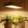1000W Greenhouse lighting with SUNLIGHT-like light, foil tent plant growing LED light 
