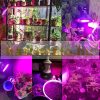 100W E27 Greenhouse lighting Plant lamp for growing plants with LED E27 socket
