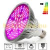 100W E27 Greenhouse lighting Plant lamp for growing plants with LED E27 socket
