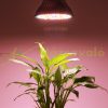 120W Plant lamp greenhouse lighting flower nursery LED lamp 180 LEDs