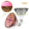 120W Plant lamp greenhouse lighting flower nursery LED lamp 180 LEDs