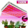 1600W Greenhouse lighting foil tent plant growing LED light with extra UV and IR Led