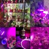 2 db 100W E27 Üvegház világítás Növénylámpa növény nevelő LED 200W E27 foglalattal