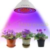  20W Üvegház világítás Növénylámpa növény nevelő LED E27 foglalattal 200 db SMD2835 LED 