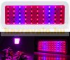 2 pieces 300W Plant lamp Greenhouse lighting Flower growing LED light with UV and IR led + safety glasses