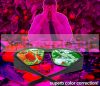 2 pieces 300W Plant lamp Greenhouse lighting Flower growing LED light with UV and IR led + safety glasses