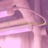 30W plant lighting fluorescent lamp 3 pieces 60 cm long, plant growing lamp soba connectable type with power cable
