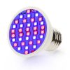 3W Greenhouse lighting Plant lamp for growing plants with LED E27 socket