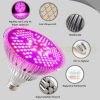 2 db 100W E27 Üvegház világítás Növénylámpa növény nevelő LED 200W E27 foglalattal