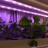 45W plant lighting fluorescent lamp 90 cm long, foldable plant growing LED lamp with adapter and switch 
