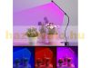 Greenhouse lighting Plant lamp 2-piece set plant growing LED 4W 360° adjustable, with USB connector