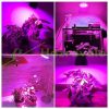 50W E27 Greenhouse lighting Plant lamp for growing plants with LED E27 socket