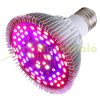 Üvegház világítás Növénylámpa növény nevelő LED 50W E27 foglalattal