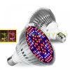 Üvegház világítás Növénylámpa növény nevelő LED 50W E27 foglalattal