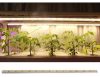 60W plant lighting fluorescent lamp 3 pieces 120 cm long with sunlight effect, plant growing lamp IP44 can be connected in series