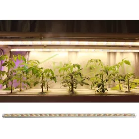 3x60W növényvilágító fénycső 120 cm hosszú, növénynevelő lámpa adapterrel