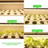 60W plant lighting fluorescent lamp 3 pieces 120 cm long with sunlight effect, plant growing lamp IP44 can be connected in series
