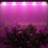  60W plant lighting fluorescent lamp 120 cm long 2x3 piece set, foldable plant growing LED lamp with switch