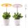 6W Greenhouse lighting, white flower-shaped plant lamp plant grower with a detachable base