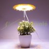 6W Greenhouse lighting yellow flower-shaped plant lamp plant grower with detachable base