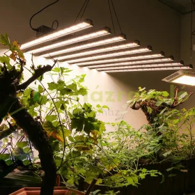   7000W növényvilágító LED lámpa ipari használatra nagy teljesítményű növénynevelő lámpa IP68