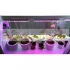 7W Plant lighting led series Plant lamp plant growing LED