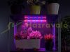 7W Plant lighting led series Plant lamp plant growing LED