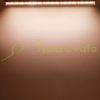 80W plant lighting fluorescent lamp 4 pieces 52 cm long, plant growing lamp with adapter.