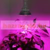 80W E27 Greenhouse lighting Plant lamp for growing plants with LED E27 socket