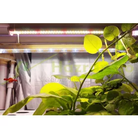 Növényvilágítás 80W led Növénynevelő lámpa