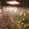 1000W Greenhouse lighting foil tent for plant growing LED light panel IP44 waterproof can be connected in series