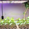 100W Greenhouse lighting foil tent grower LED light quantum panel adjustable brightness timer IP44 waterproof