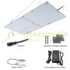 100W Greenhouse lighting foil tent grower LED light quantum panel adjustable brightness timer IP44 waterproof